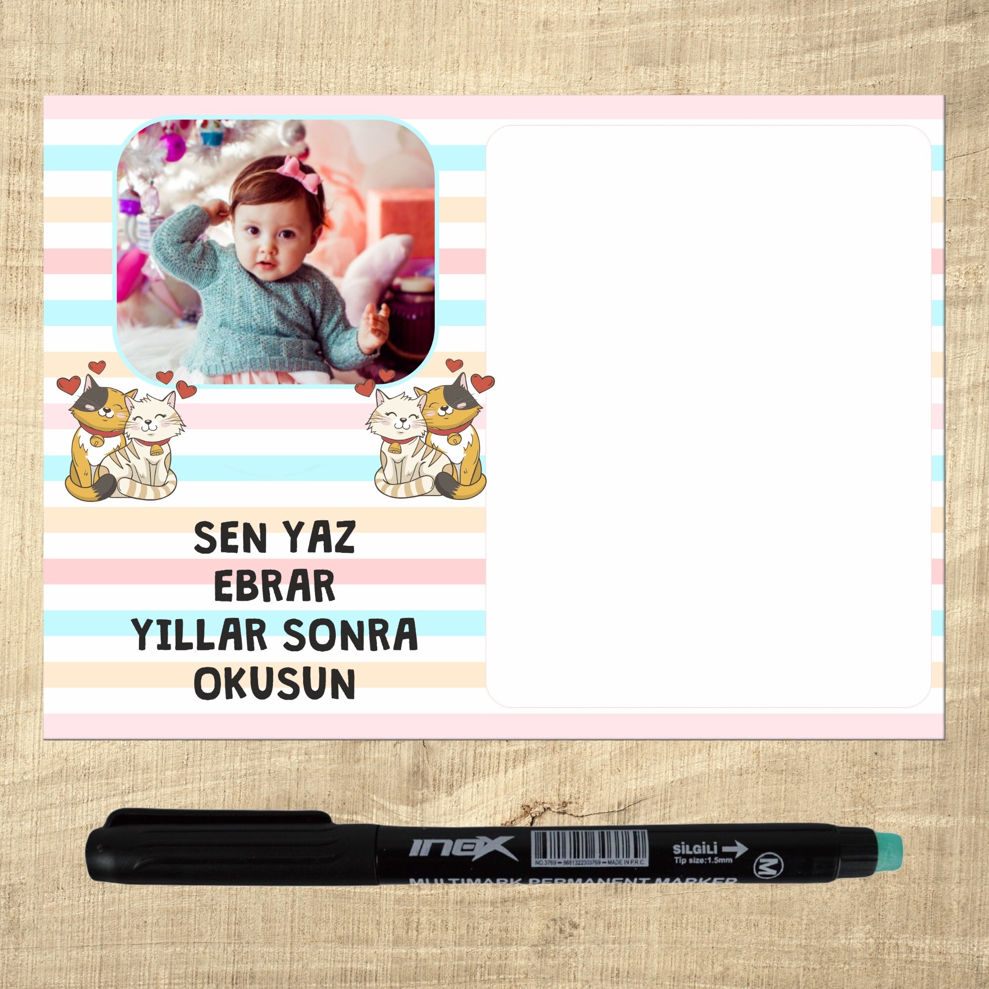 Sevimli Kediler Kalemli Magnet Notluk