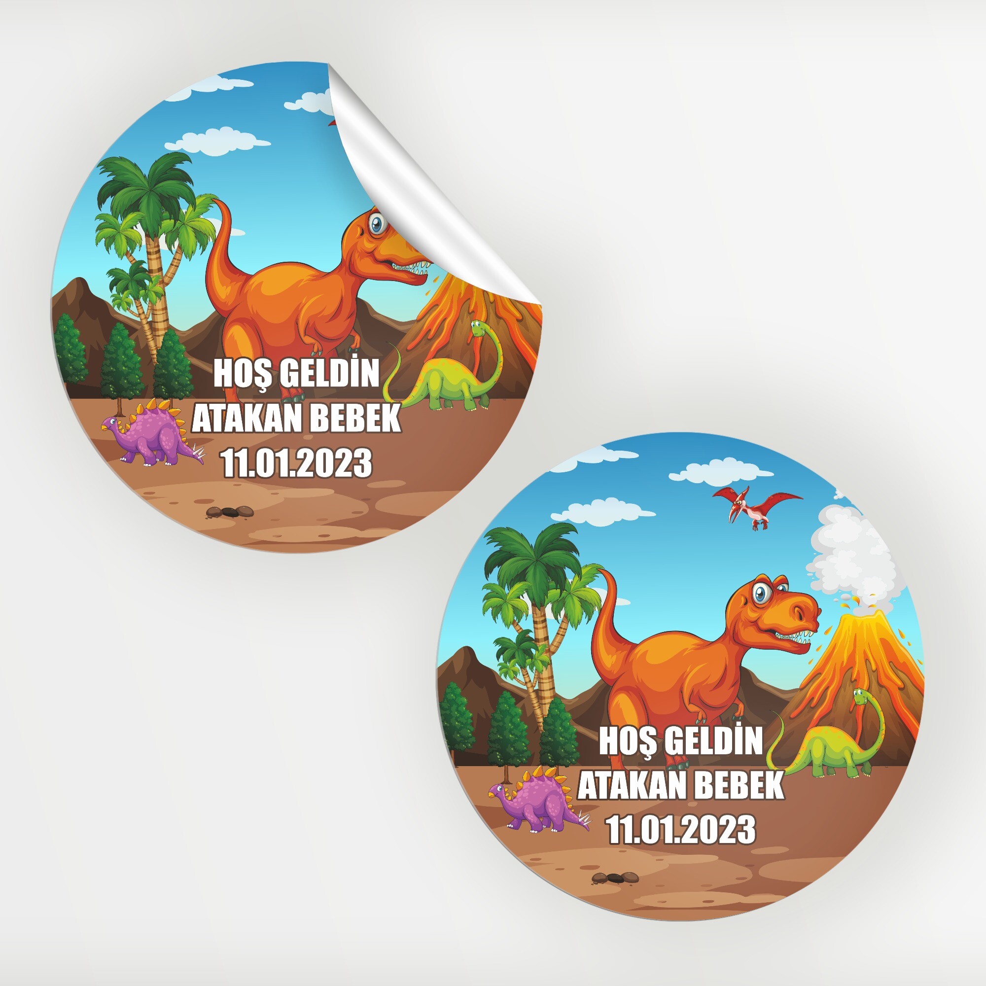 Dinazor Temalı Bebek Sticker Etiket