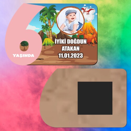 Dinazor Temalı 6 Yaş Kız Çocuk Ahşap Pembe Rakam Magnet