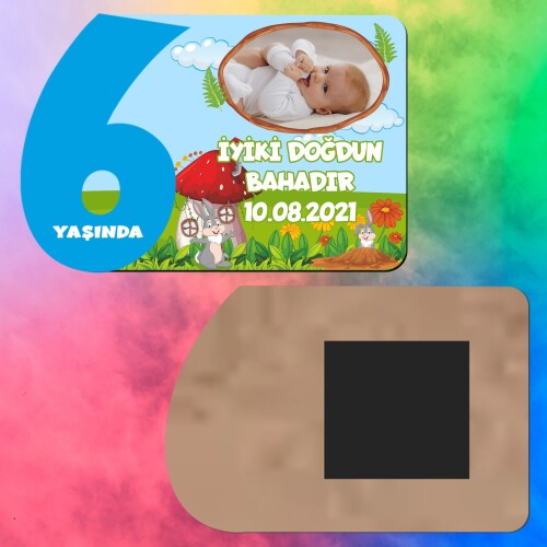 Sevimli Tavşan 6 Yaş Erkek Çocuk Ahşap Mavi Rakam Magnet
