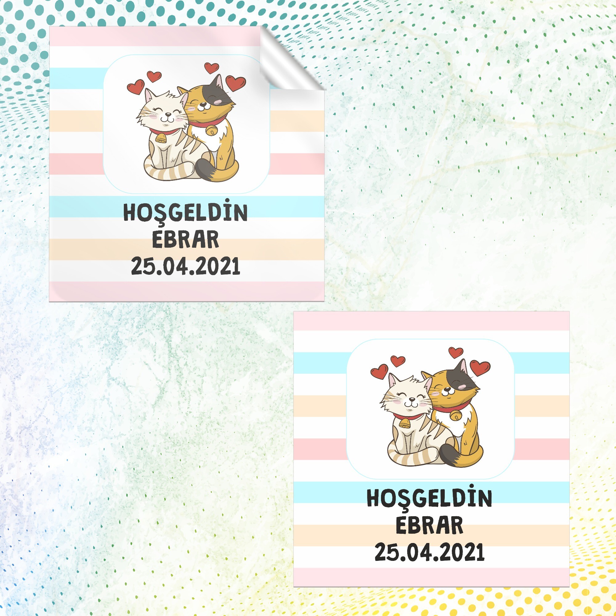 Sevimli Kediler Kare Bebek Etiketi