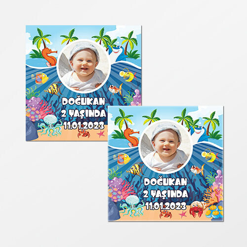 Deniz Canlıları Konsept Kare Doğum Günü Sticker
