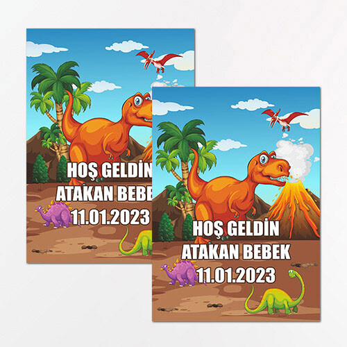 Dinazor Temalı Dikdörtgen Bebek Sticker Etiket