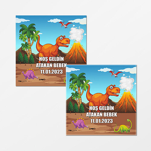Dinazor Temalı Kare Bebek Etiketi