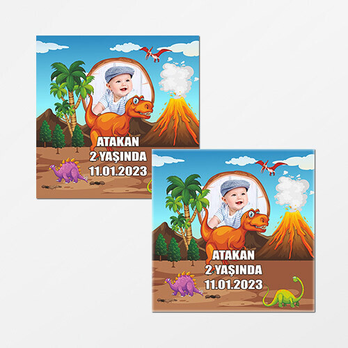 Dinazor Temalı Kare Doğum Günü Sticker