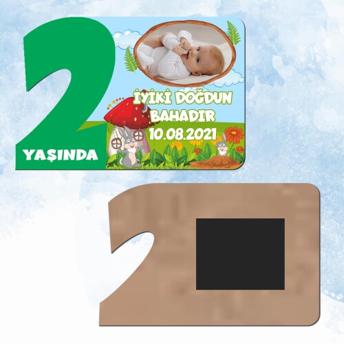 Sevimli Tavşan Yeşil Rakamlı 2 Yaş Hediye Ahşap Magnet