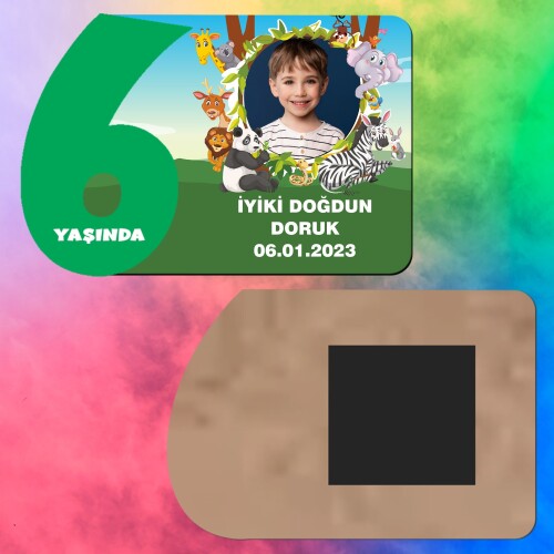 Safari Temalı 6 Yaşında İçin Yeşil Rakam Magnet