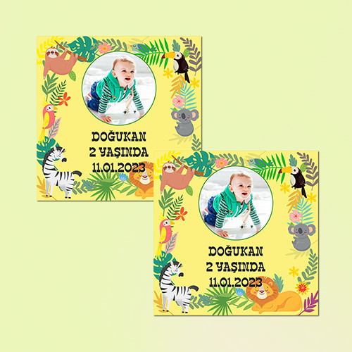 Orman Hayvanları Temalı Kare Doğum Günü Sticker