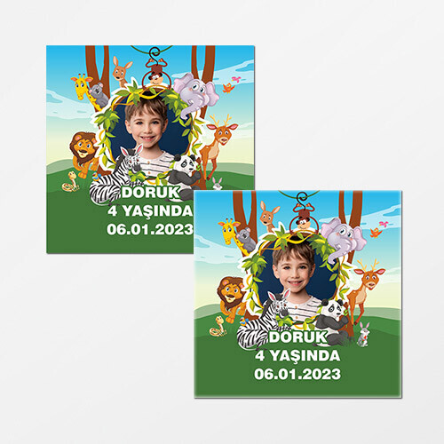 Safari Temalı Kare Doğum Günü Sticker