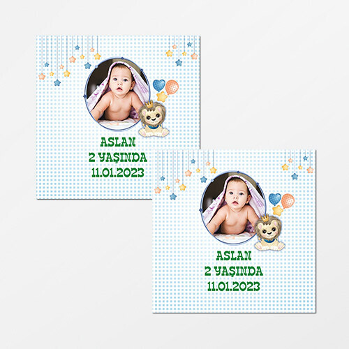 Sevimli Aslan Kare Doğum Günü Sticker