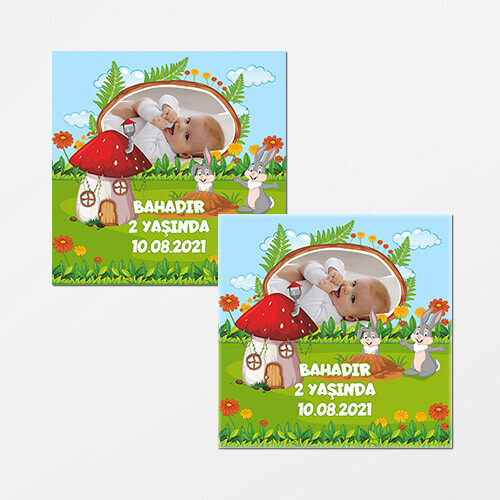 Sevimli Tavşan Kare Doğum Günü Sticker