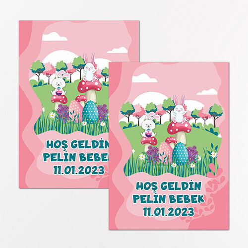 Tavşan Kız Temalı Dikdörtgen Bebek Sticker Etiket