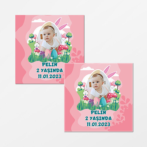 Tavşan Kız Temalı Kare Doğum Günü Sticker